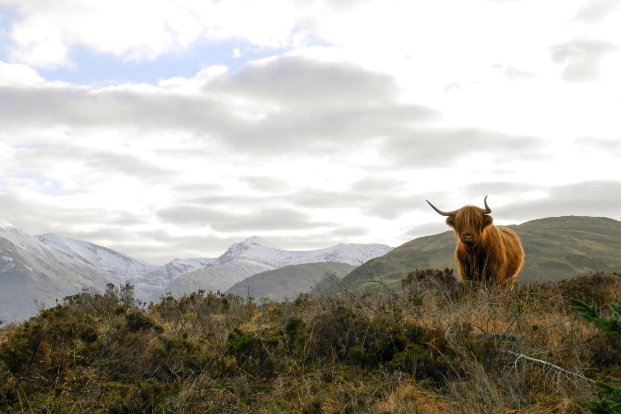 Glen Nevis Holidays Fort William Exterior foto